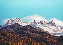 九游体育官方：打造专业、可信赖的体育体验新标杆